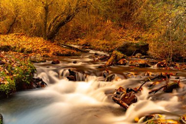 Endülüs topraklarında tipik sonbahar manzarası.