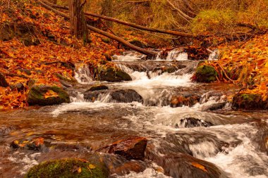Endülüs topraklarında tipik sonbahar manzarası.