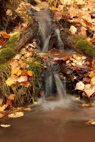 アンダルシア地方の典型的な秋の風景. — ストック写真
