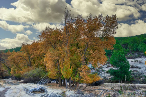 Типовий осінній пейзаж на Андалузьких полях. — стокове фото