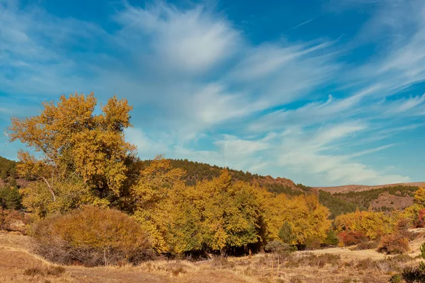 Typically autumnal landscape in the Andalusian fields. — стоковое фото