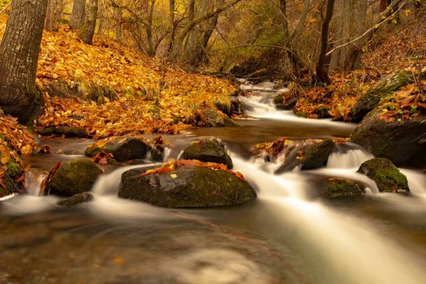 Endülüs topraklarında tipik sonbahar manzarası.
