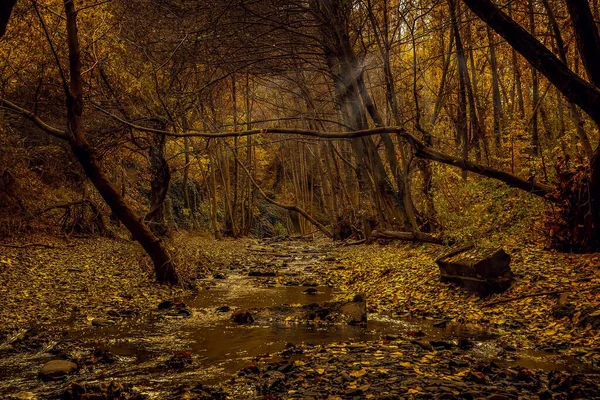 安达卢西亚田野典型的秋季景观. — 图库照片