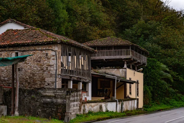 The horreo, has an undeniable folkloric value and is a milestone of Asturian identity — Stock Photo, Image
