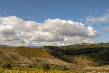 Kasvetli gökyüzünün altında güzel bir kır manzarası.