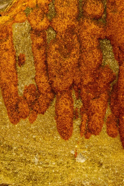 Макропейзажи на площади Плайя-дель-Силене на побережье Астурии, Испания. — стоковое фото