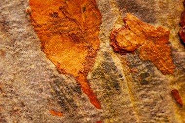 İspanya 'nın Asturian kıyısındaki Playa del Silencio' da Macro manzaraları.