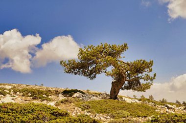Granada, Endülüs 'teki Sierra de Baza Doğal Parkı.