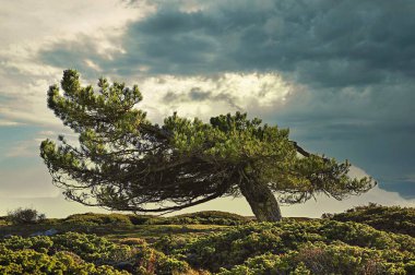 Granada, Endülüs 'teki Sierra de Baza Doğal Parkı.