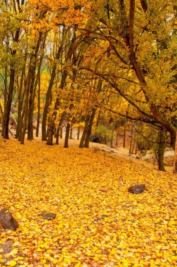 Granada, Endülüs 'teki Sierra de Baza Doğal Parkı.