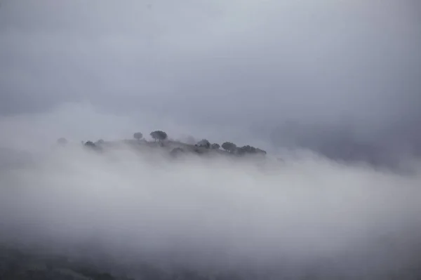 Природний парк Сьєрра - де - База в Гранаді (Андалусія - Іспанія).. — стокове фото