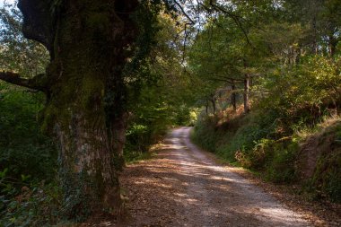 San Juan de Moroso 'nun Roma inzivası.