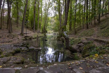 Fontibre 'deki Ebro Nehri' nin Kaynağı.