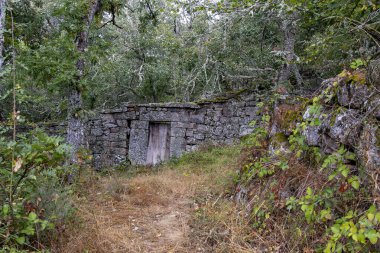 Loma Somera ormanında taş Corraliza.