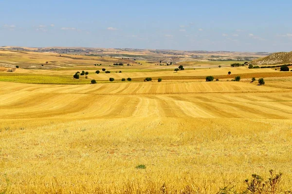 Landscape of the La Mancha fields in Cuenca — стокове фото