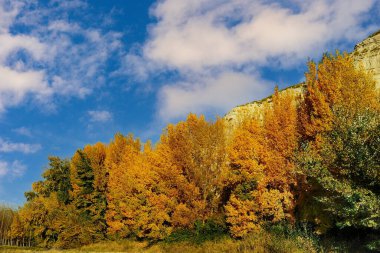Alameda Baza, Granada nehrinde.
