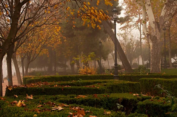 Cervantes Park or Alameda de Baza, Granada. — Foto de Stock