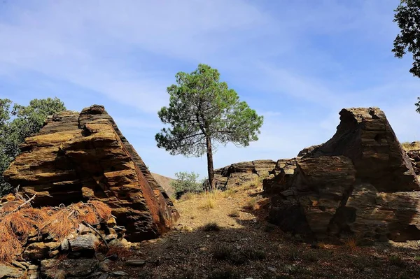 Ruins Castle of Cerro de Castel in Ferreira, Granada. — Stock Fotó