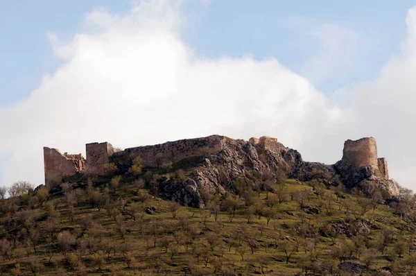 Castle of the town of Pinar, Granada — Stockfoto