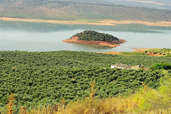 Vista panorámica del pantano de Giribaile en Jaén. —  Fotos de Stock