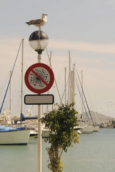 Estepona Marina and fishing port in Malaga, Andalucia. — стокове фото