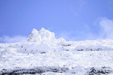 Karla kaplı ağaçlarla kaplı güzel kış manzarası.