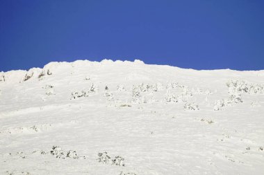 Karla kaplı ağaçlarla kaplı güzel kış manzarası.