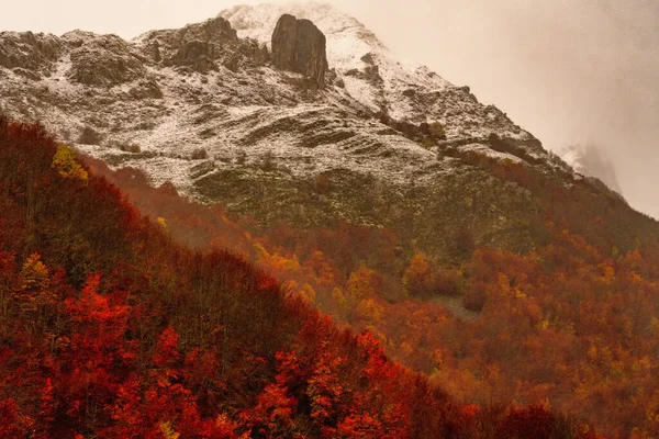 Krajobrazy wiejskie we wnętrzu Asturii — Zdjęcie stockowe