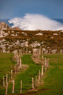 Asturian sahilinin manzarası ve engebeli uçurumları.