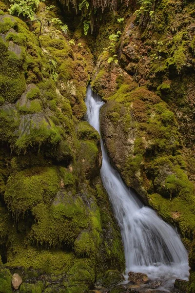 Verzauberter Wald im Hügelland von Pozo Alcon — Stockfoto