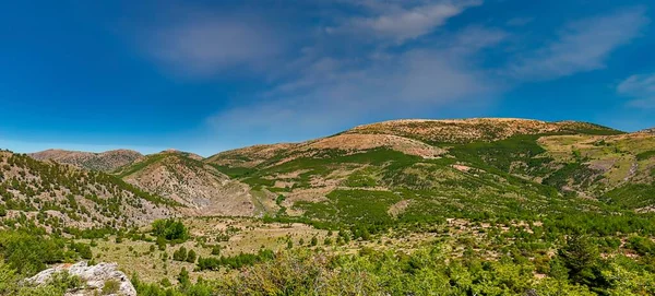 Waldgebiet des Naturparks Sierra de Baza — Stockfoto