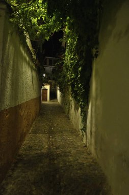 Albaicin mahallesinin tipik ve dar sokakları