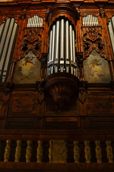 A guadix-i katedrális csodálatos orgonája — Stock Fotó