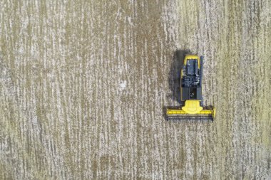 Tahıl tarlasında tahıl toplayan hasat makinesini birleştirin.