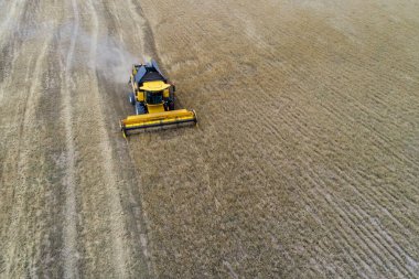 Tahıl tarlasında tahıl toplayan hasat makinesini birleştirin.