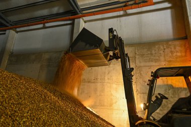 Badem kurutma ve forklift deposu..
