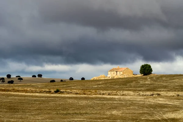 Paisagem do cereal dehesa da Sierra Oriental de Granada. — Fotografia de Stock