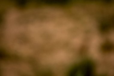 Soyut arkaplan. Web tasarımı, poster, afiş için yumuşak renk soyut arkaplanı.