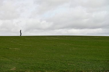 Doğu dağlarının tahıl manzaraları - Granada
