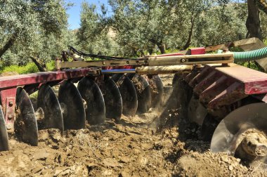 Zeytin korusunda tarla sürme görevleri yapan traktör - disk harrows