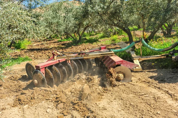 Tractor performing tillage tasks in the olive grove - disc harrows — Stock Fotó