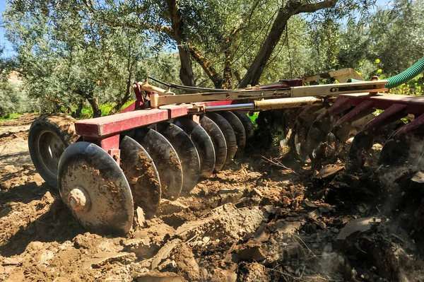 Ελκυστήρας που εκτελεί εργασίες άροσης στον ελαιώνα - σκληροί δίσκοι — Φωτογραφία Αρχείου