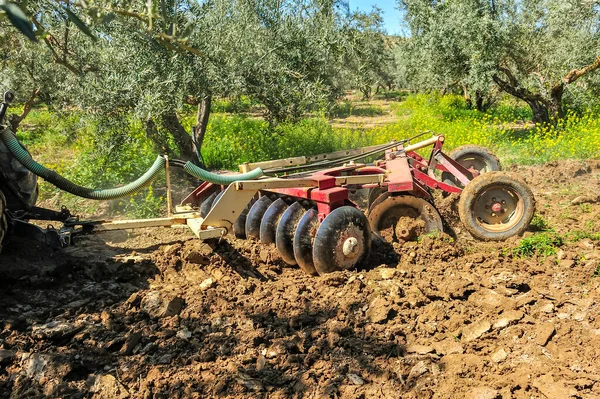 Tractor performing tillage tasks in the olive grove - disc harrows — ストック写真