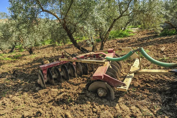 Ελκυστήρας που εκτελεί εργασίες άροσης στον ελαιώνα - σκληροί δίσκοι — Φωτογραφία Αρχείου