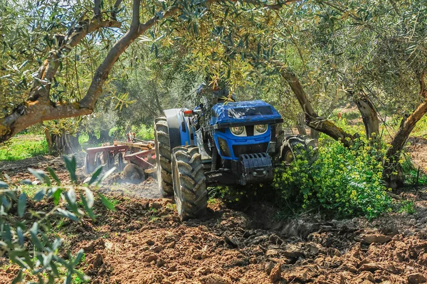 Tractor performing tillage tasks in the olive grove - disc harrows — Stock Fotó