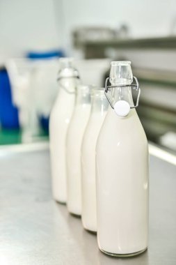 Taze keçi sütüyle dolu cam şişeler..