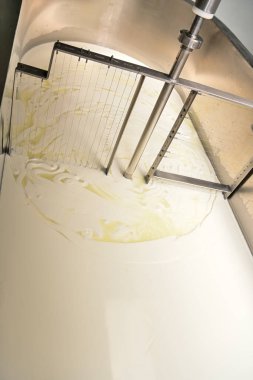 Sanatsal peynir üretimi, fabrika tankındaki kaymak ve sütü kesme..