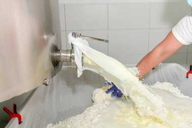 İşlem masasında, sümsük kaymak tabakasından ayrılır..