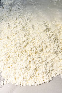 İşlem masasında, sümsük kaymak tabakasından ayrılır..