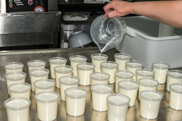 Elaboration of natural yogurt with goats milk.